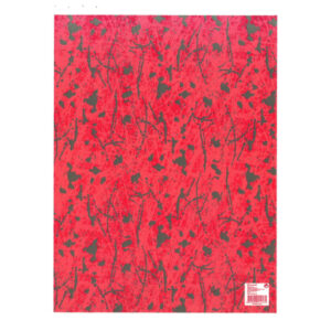 01200-14.jpg 25 Hojas Papel de Regalo en Pliego Nº14