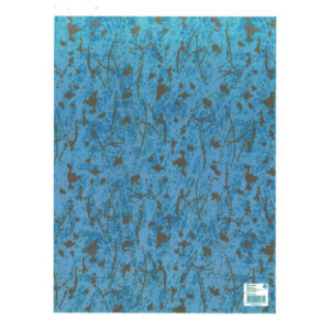 01200-17.jpg 25 Hojas Papel de Regalo en Pliego Nº17
