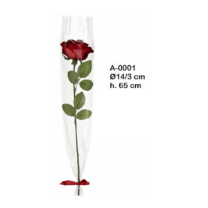 Cono Para Rosas x50 Piezas Transparente Neutro