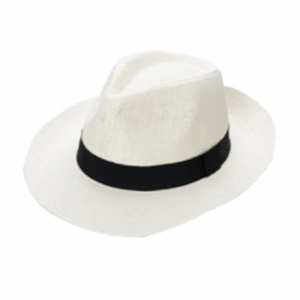 Sombrero RR Panamá Color Blanco - Negro