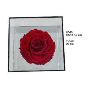 PR-002.jpg Rosa Preservada Caja Metacrilato