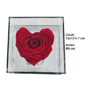 PR-003.jpg Rosa Preservada Caja Metacrilato Forma Corazón